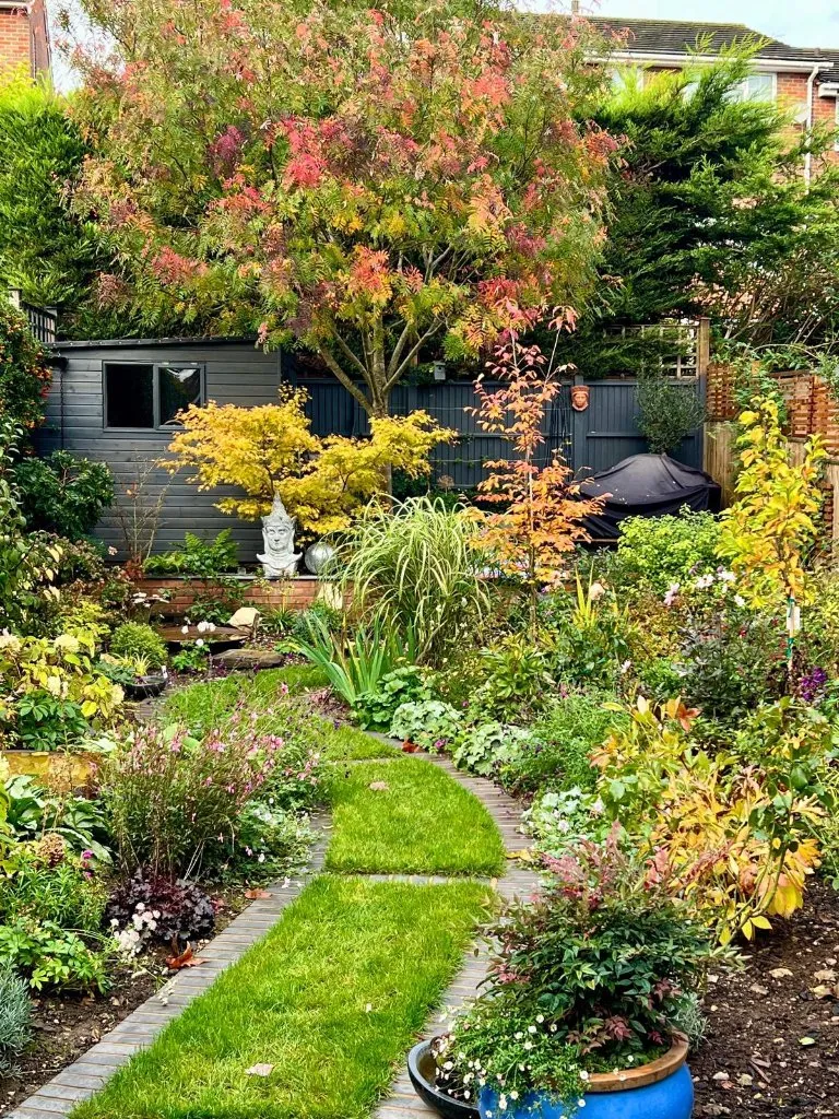 Planted garden in autumn colours with a curving lawn path leading to a grey shed
